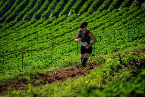 BIB: 
                            <button type="button" onclick="openModal(19161150)" class="btn btn-primary btn-sm float-right btn-popup" data-toggle="modal" data-target=".modal-high-quality">
                        <i class="fas fa-shopping-cart"></i> Add to Cart
                    </button>
                                            <button type="button" onclick="isThisMe(19161150, true)" class="btn btn-success btn-sm float-right btn-popup btn-isme hidden" data-toggle="tooltip" data-placement="bottom" title="นี่คือรูปของคุณใช่ไหม คลิกที่นี่เพื่อเอาเข้าอัลบั้ม">
                        <i class="fas fa-plus"></i> Add to album
                    </button>
                    <button type="button" onclick="isThisMe(19161150, false)" class="btn btn-warning btn-sm float-right btn-popup btn-isnotme hidden">
                        <i class="fas fa-ban"></i> Remove from album
                    </button>